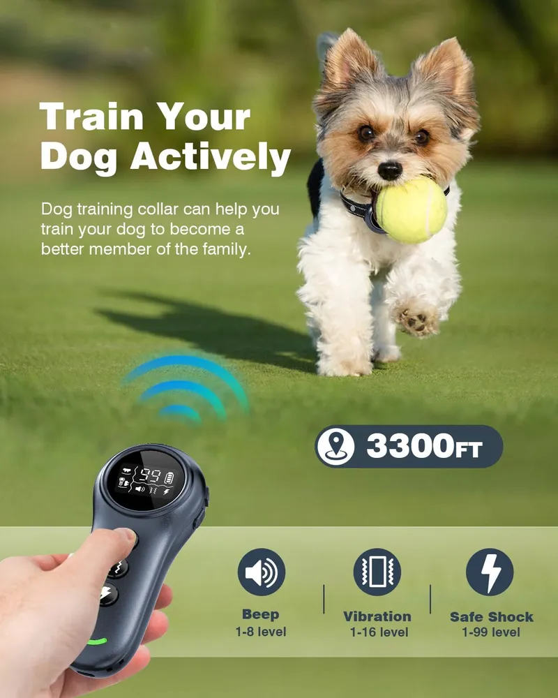 Colofrog Smart Anti Barking Dog Training Collar